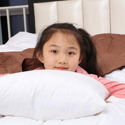 China Folded New Feather Feather Pillow Core Five Star Hotels Rest Neck Guard Health Care Pillow Adult for sale