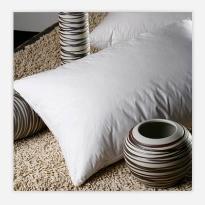 China Success Pillow Folded Insert Down Pillow 55x55 Standard Feather Insert Premium Cushion High Quality for sale