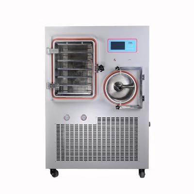 China Durable Vacuum Lyophilizer Drying Freeze Dried Fruit Machine With High Effency for sale