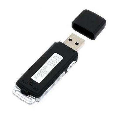 China USB Disk Recorder Professional Digital HD Dictaphone Denoise Mini Hidden 8GB Audio Voice Recorder for sale