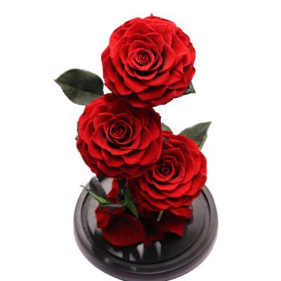 China 100% Real Factory Wholesale Natural Fresh Flower Valentine Mother's Day Gift Preserved Flowers Preserved Rose In Glass for sale