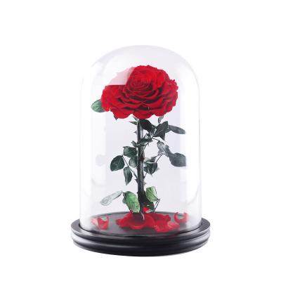 China Hot selling valentines day preserved roses in glass dome for valentines day gifts for sale