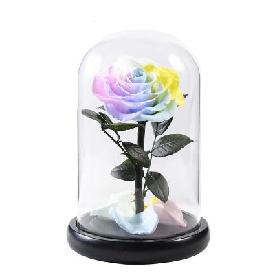 China 2022 valentines day factory hot sale wholesale preserved flower in a dome for sale