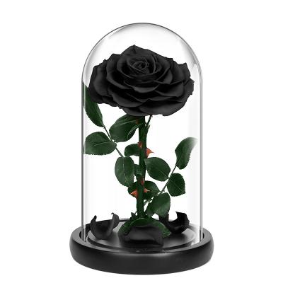 China Hot sale valentines day preserved flower in glass dome for valentines day gifts for sale