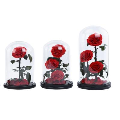 China Wholesale Preserved Valentines Day Roses A Grade Glass Flowers With Gift Box For Valentine's Day Gifts Box for sale