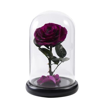 China Valentines Day Amazon Best Seller Preserved Rose Flower In Glass Valentines Day Gift For Diy Gifts Occasion Valentine's Day for sale