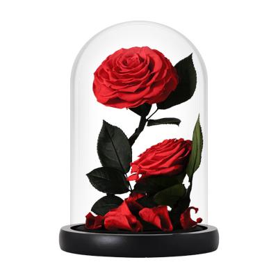 China Valentines Day Amazon Best Seller Glass Ball Rose For Diy Gifts Occasion Valentine's Day for sale