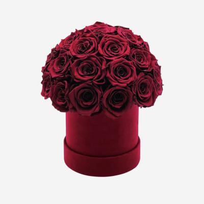 China Wholesale Natural Fresh Rose New Design Preserved Rose In Box Round Eternal Flower Real Preserved Roses In Gift Box Dome Shape Rose for sale