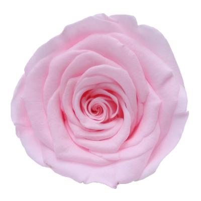 China Wholesale Real Touch Forever Natural Fresh Long Lasting Eternal Stabilized Flower Head Preserved Rose For Rose Box for sale