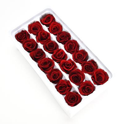 China Wholesale fresh natural rose 100% natural 2-3cm preserved rose head for teddy bear for sale