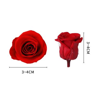 China Wholesale fresh natural rose 100% natural 3-4cm preserved rose head for festival decoration for sale