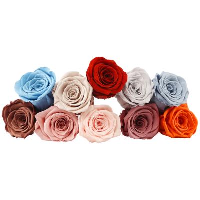 China 100% Fresh Natural Rose Wholesale A Grade Natural 4-5cm Preserved Flower Heads For Rose Box for sale