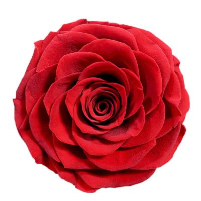 China Pretty 7-8cm Large Natural Fresh Rose Wholesale High Quality Roses A Grade Preserved Flowers For Box for sale