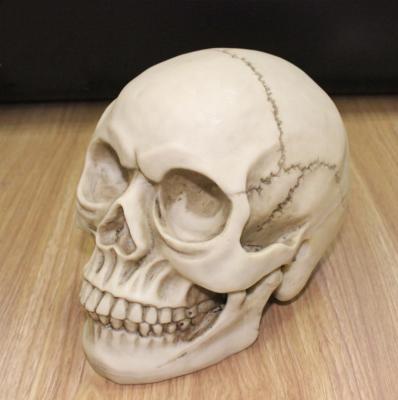 China Customized Worldwide Halloween Home Poly Resin Decorative Skull for sale