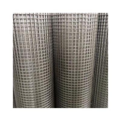 China Hot Dipped Galvanized Gabion Bird Cage Welded Wire Mesh In Roll for sale