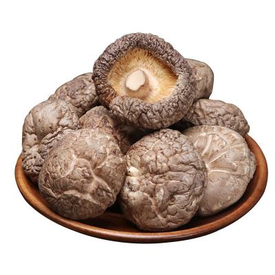 China Wholesale top tier chinese shiitake dry lentinus edodes dry mushroom for sale