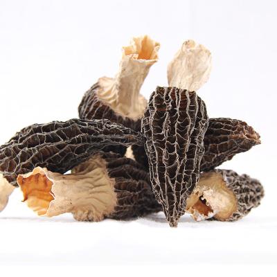 China China Good Factory Supplydry Fresh Dried Morchella Mushroom Direct Prices for sale