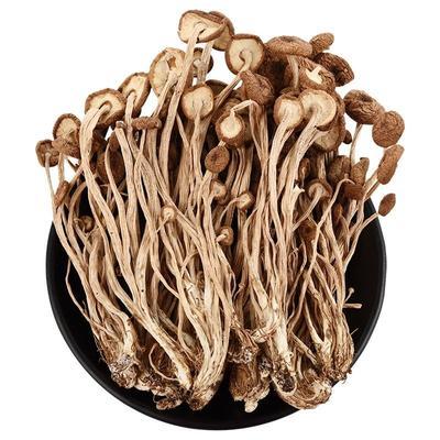 China Edible High Quality Dry Agrocybe Dried Cylindracea The Mushrooms Tea Tree Mushroom for sale