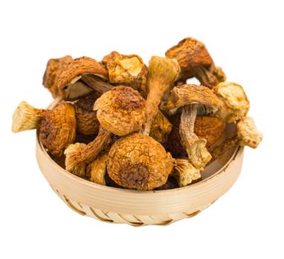 China Best Quality Natural Dried Agaricus Blazei And Bulk Price Factory Dried Support for sale