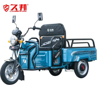 China Hot Sale 48V 800W Batteries Cargo Tricycle For Cargo And Passenger for sale