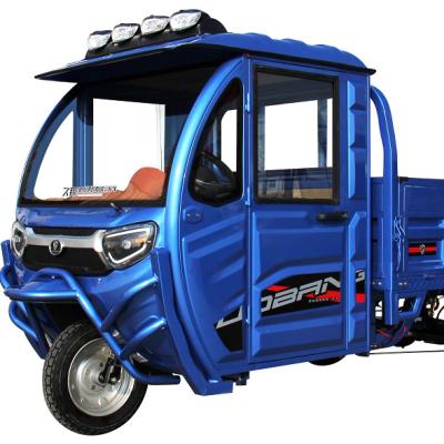 China Cargo Shape 1000W Motor Mini Electric Tricycle For Adult for sale