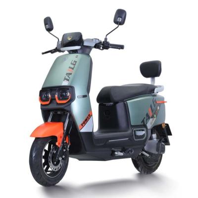 China Tailg's New Product 1200W Long Range Mobility Off Road 2 Seater Motorcycle Electric Scooters 1720mmX730mmX1115mm for sale