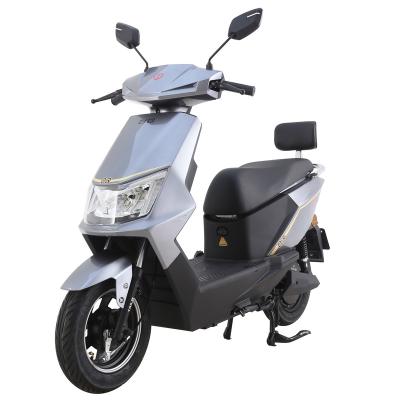 China Best Quality Tailg Price 1000W Mobility Scooter Motorcycle 2 Seater Electric Self-balancing Adult Motorcycle Feiyue for sale