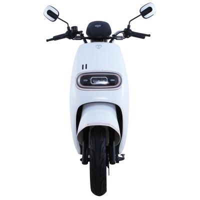 China Chinese Perfect Quality Tailg Power 1200W E Scooters Huge Motorcycles With Motors 2 Seater Biao Bing Electric Motorcycles for sale