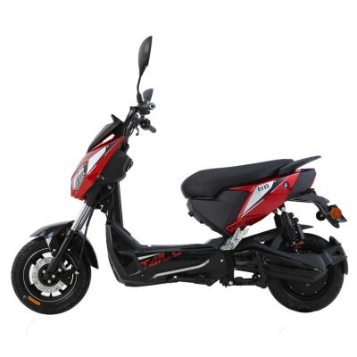 China Tailg Good Quality Chinese Adult Electric Motorcycle Dirt Bikes Cool Rider for sale