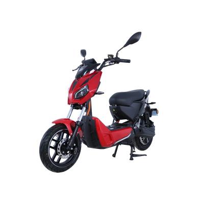 China Powerful Tailg Clearance 1000W Motorcycle Motor Assembly Electric Moped With Pedals Off-Road Motorcycles Cool Rider for sale