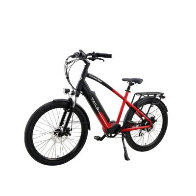 China Factory Direct High Quality Aluminum Alloy Tailg Battery Electric Bike For Wholesales for sale