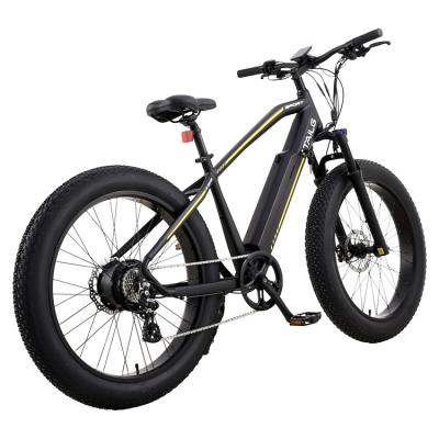 China High Quality Drive Mountain Motor Aluminum Alloy Tailg Frame Electric Bicycle For Adult for sale