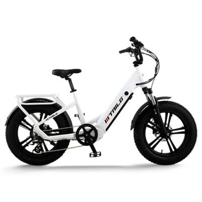 China Factory Price 2 Tailg Aluminum Alloy Wheel Fat Tire Bike Electric Bicycle for sale