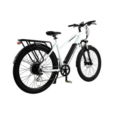 China Aluminum Alloy Tailg Factory Wholesale Price New Electric Motor Model Electric Bicycle for sale