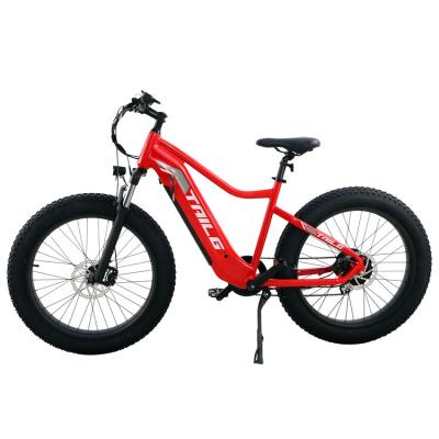 China Aluminum Alloy Tailg Customized Snow Ebike Style Cheap Classic Retro City Bike Bicycle for sale