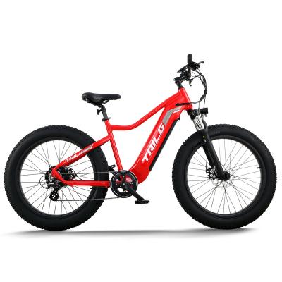 China 2023 Factory 2023 Tailg Battery Aluminum Alloy Battery 48V Mountain Road Fat Tire Electric City Bike Snow Ebike for sale