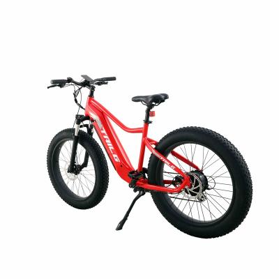 China Aluminum Alloy Tailg Factory Chinese Super Power 500W 26 Inch Other Road Electric Motor Bicycle Cycling E Bike Snow Ebike For City for sale