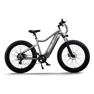 China Aluminum Alloy Tailg Wholesale Price Long Range 48V Super Power Road Mountain E Bike Snow Electric Bicycle Ebike For City for sale