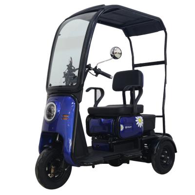 China Other Tailg Hot Sale Easy To Ride Use Adult Tricycles Electric Tricycle With Roof for sale