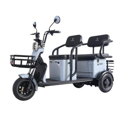 China Other Tailg Wholesale Price Bike Motorized Tricycles Electric Trike For 3 Person for sale