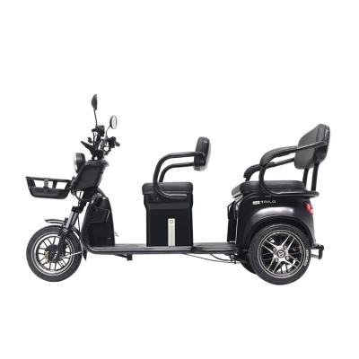 China Other Tailg Good Quality Folding Adult Electric Tricycle For Adults Foldable for sale