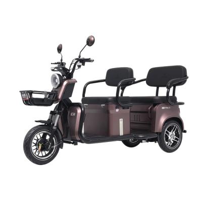 China Other Tailg Good Quality Three Wheel Foldable Adult Electric Tricycle for sale