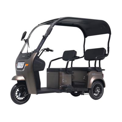 China Other Tailg Tricycles Adults 3 Wheel Hot Selling Electric Tricycle With Canopy for sale