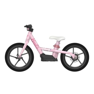 China Steel Tailg Bike 12 16 Inch Training Balance Gasoline Electric Children's Bikes For Kids for sale