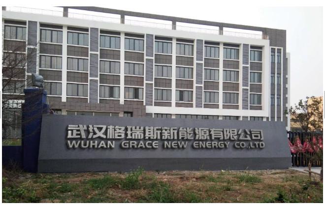 Fornitore cinese verificato - WUHAN GRACE NEW ENERGY CO., LTD.