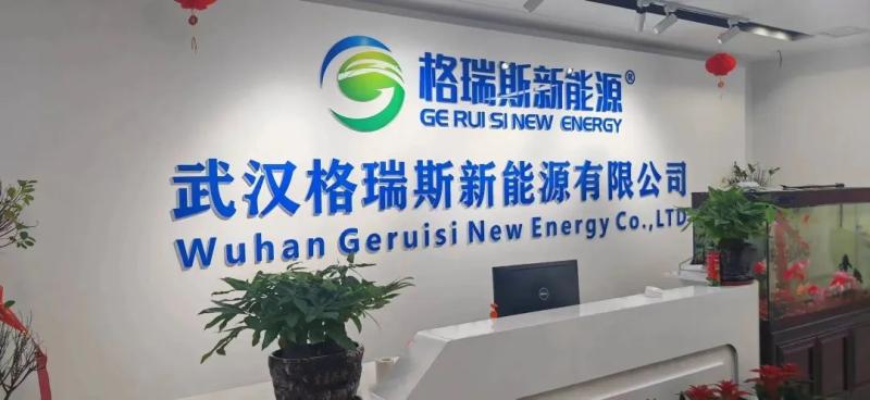 Fornitore cinese verificato - WUHAN GRACE NEW ENERGY CO., LTD.