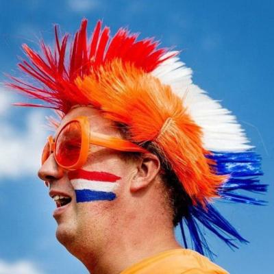 China WM2022 Holland LOOP Color Crest Wig FRENCH Football Fan The Dutch Mohawk Wig for sale