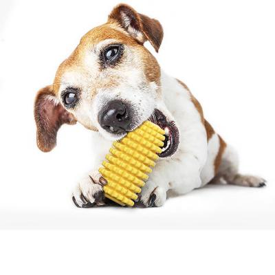 China 2021 New Design Sustainable Eco Friendly Corn Shape Teeth Cleaning Pet Toys For Chewing for sale