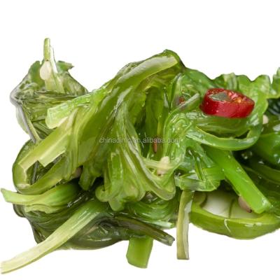 China Professional production JELLY frozen salad flavored kelp kelp salad for sale