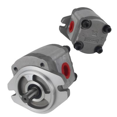 China Cast Iron HGP Series Mini Gear Pump With Factory Direct Sales Hydraulic Gear Pump for sale